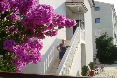 Apartments Croatia Dusper 