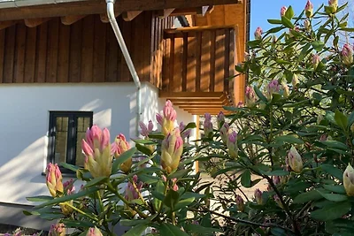 Vakantiehuis Ontspannende vakantie Winterberg