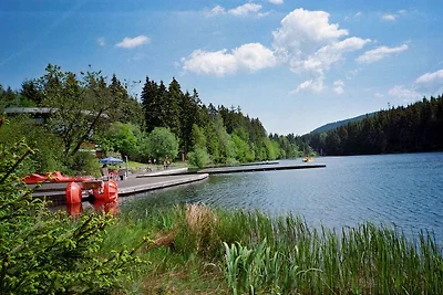 Fewo Hemlock, Hahnenklee, WLAN