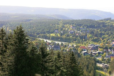 Hemlock appartement, Hahnenklee, WLAN