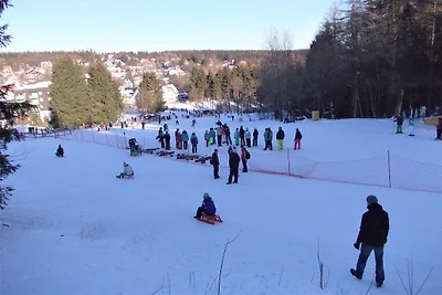 Fewo Hemlock, Hahnenklee, WLAN