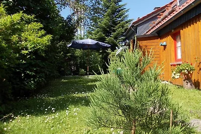 Feha Sequoia, Hahnenklee, WLAN