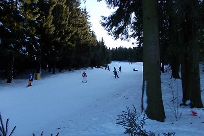 Hemlock appartement, Hahnenklee, WLAN