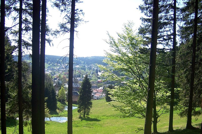 View of Stützerbach