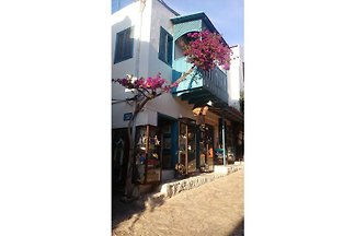 Turqueria Apart
