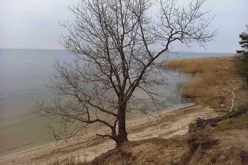 die Ostsee in aller Ruhe genießen