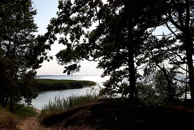 Novità:Casa vacanze vicino alla natura all'Haff