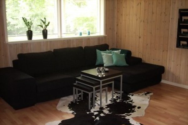 Schönes Ferienhaus - Arrild ferieby in Arrild - Bild 1 Schönes Ferienhaus - Arrild ferieby in Arrild - Bild 1