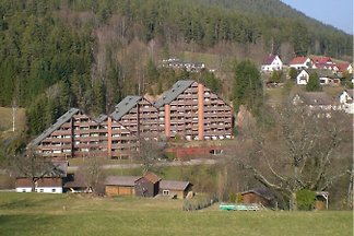 Ferienwohnung Baiersbronn