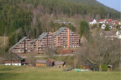 Vacation rentals Black Forest grounds