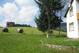 Ferienhaus Lahr