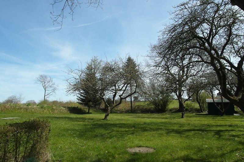 Der Garten