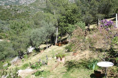 Ferienhaus auf Korsika / Balagne