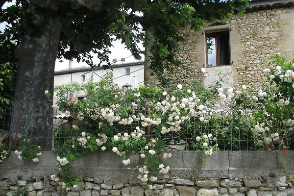 Ferienwohnung St. Sauveur de Cruzières