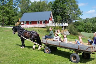 Boshuis, bubbelbad, droomachtige natuur