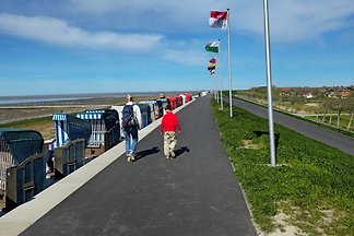 Geweldig vakantiehuis