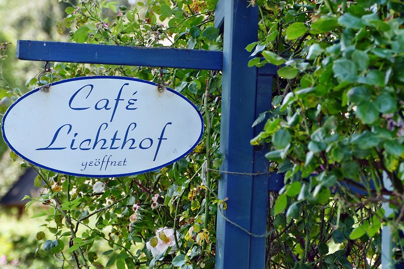Cafe in Falshöft