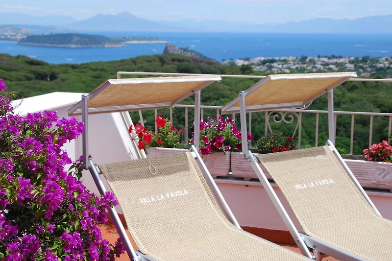 Poolblick mit Sonnenliegen, Holzdeck, Outdoor-Möbeln und Blumentöpfen