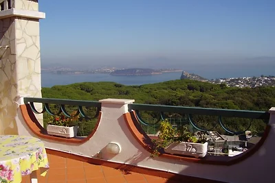 LA FAVOLA