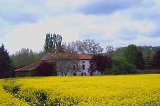 Moulin d'en Bas