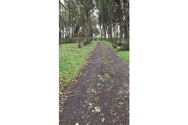 Ferienhaus Warmenhuizen