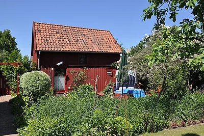 Das kleine Rote
