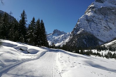 Vakantieappartement Gezinsvakantie Wiesing