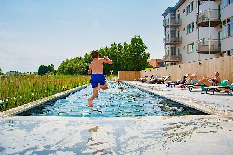 Zwembad, zomerse sfeer, sport en ontspanning bij vakantiehuis.