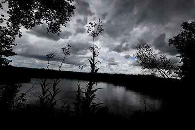 FH Henning - Appartement ''Zee'' 2 pers.