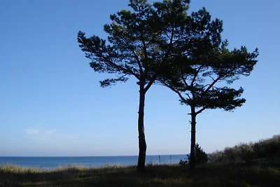 FH Henning - Appartement ''Zee'' 2 pers.