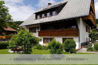 Sternentraum
