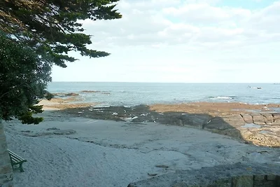 Ihr Garten: der Strand