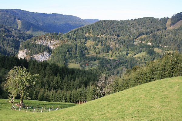 Ferienhaus Puchenstuben