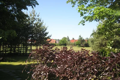Finnhütte Wittenbecker Tannen