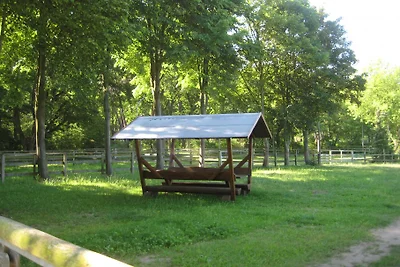 Finnhütte Wittenbecker Tannen