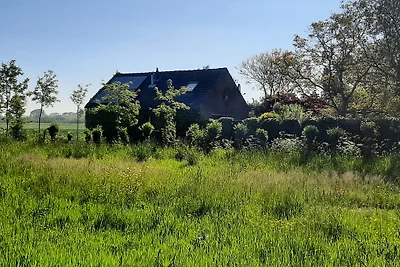 das Sonnehaus