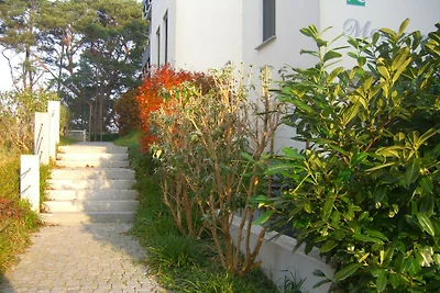 Il rumore del mare sulla passeggiata