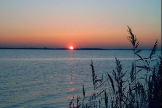 Usedom Am-Jungfernberg 2b****