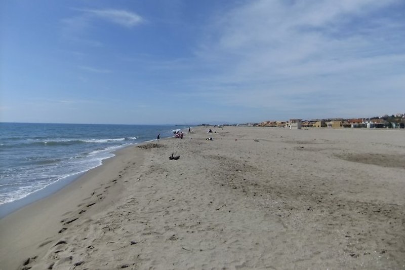 Plaża w maju