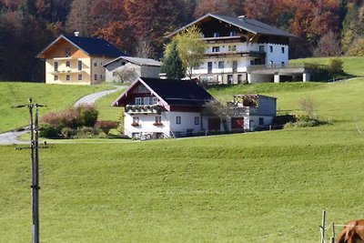 Ferienwohnung am Bichl