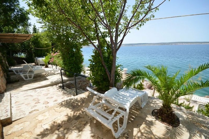 Schöne Aussicht auf den Strand, das Meer und die Palmen. Entspannen Sie sich im Freien auf den Möbeln.