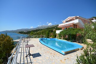 Adria Paradies
