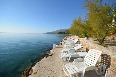 Adria Paradies BY Marinko
