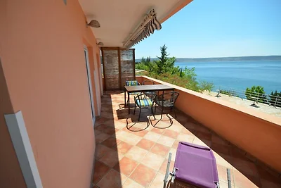 Adria Paradies BY Marinko