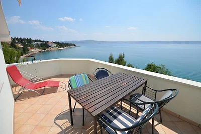 Adria Paradies BY Marinko