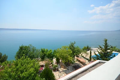 Adria Paradies BY Marinko