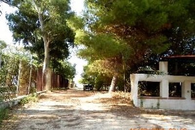 Giovanna Lido Fiori Menfi