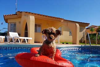 14 chalets privés avec piscine