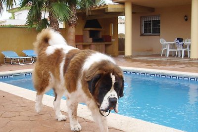 Urlaub mit Hund Ferienhaus ab 600 €