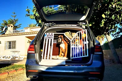 Villa Moreno Spanienurlaub mit Hund